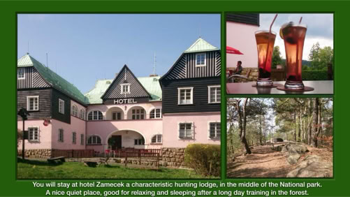 Elevate Your Mind, Body, and Spirit, Summer/Autumn 2025